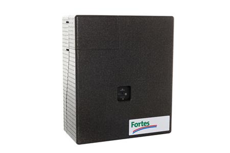 FORTES ENERGY  HOMEHEAT S-2 