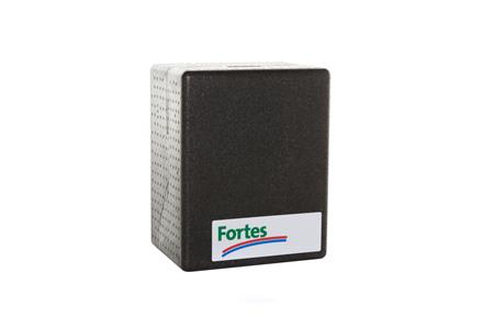 FORTES ENERGY  HOMEHEAT VV-2 / T 