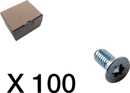 SKRUE, UNDERSÆNKET, TORX 100 STK 